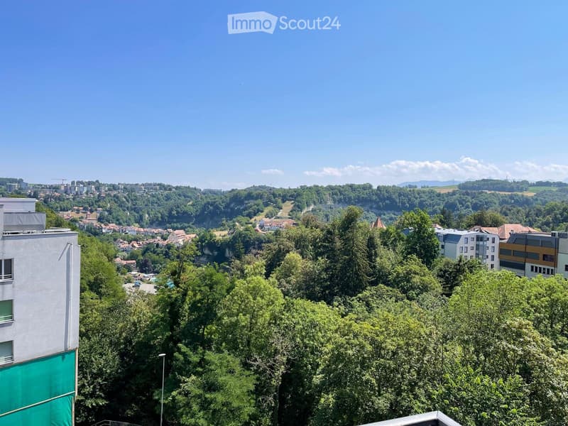 Bella appartamento di 3,5 locali nel centro di Fribourg - 1'710/mese (2)