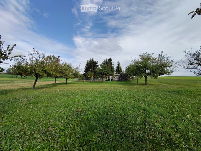 Prächtige 4,5-Zimmer-Wohnung mit Garten und Panoramablick (5)