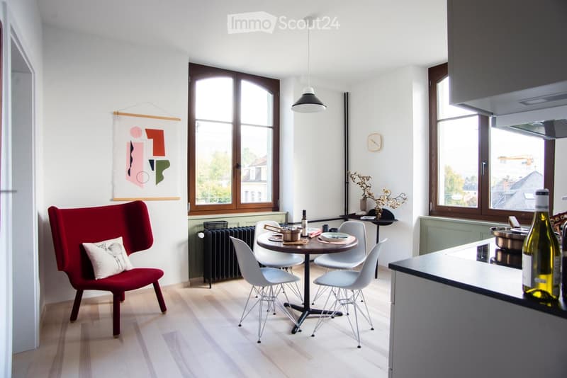 Beautifully furnished apartment by a designer (3)