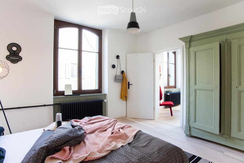Beautifully furnished apartment by a designer (4)