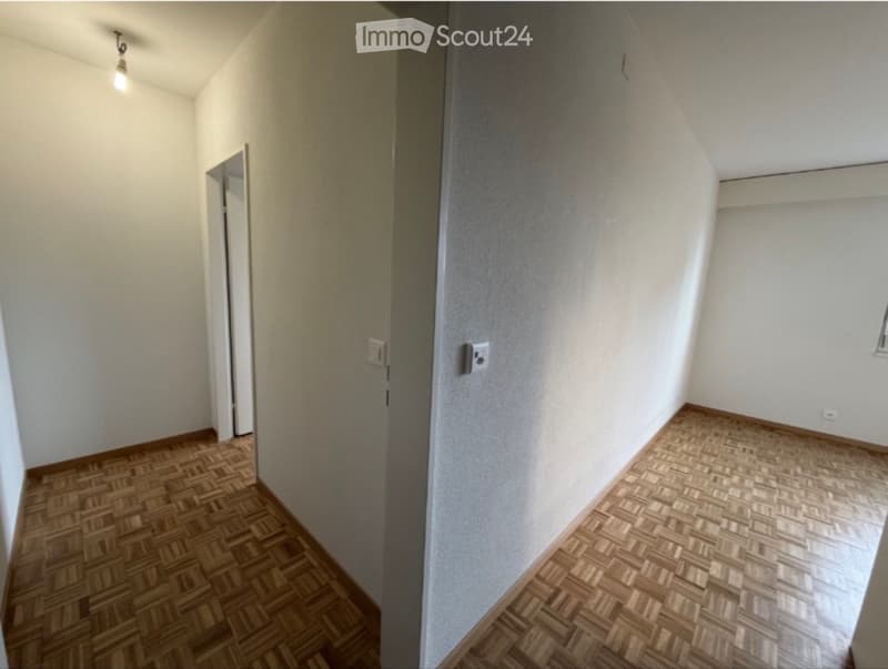 Beautiful fully renovated apartment in Morges (3)