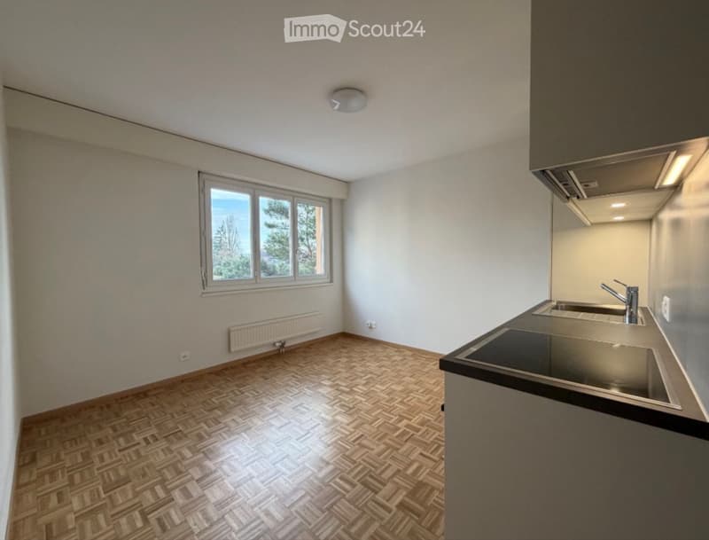 Beautiful fully renovated apartment in Morges (1)