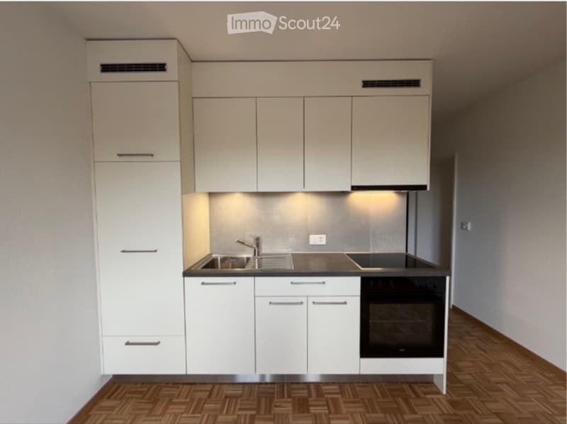 Beautiful fully renovated apartment in Morges (2)
