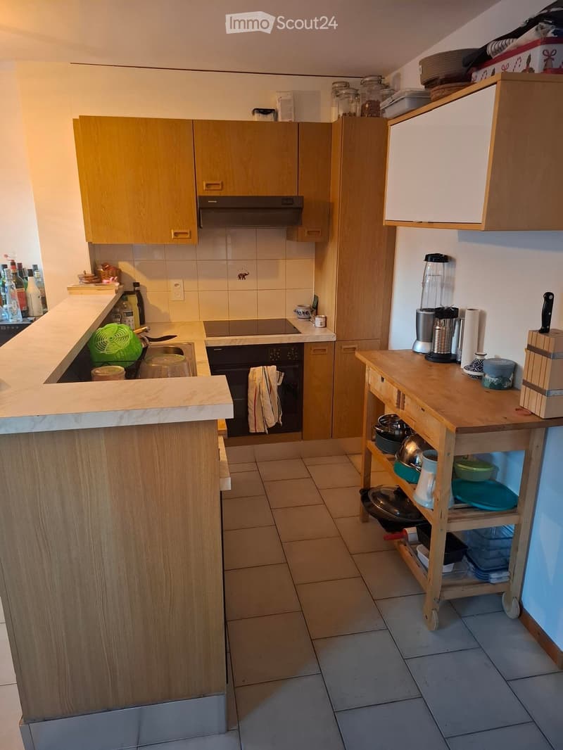 Charmantes 2-Zimmer-Dachgeschosswohnung in Perroy (3)