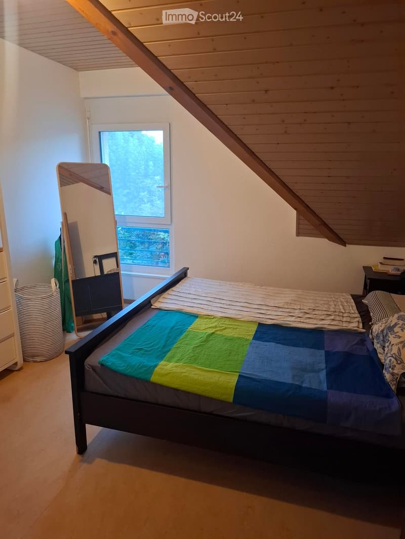 Charmantes 2-Zimmer-Dachgeschosswohnung in Perroy (5)