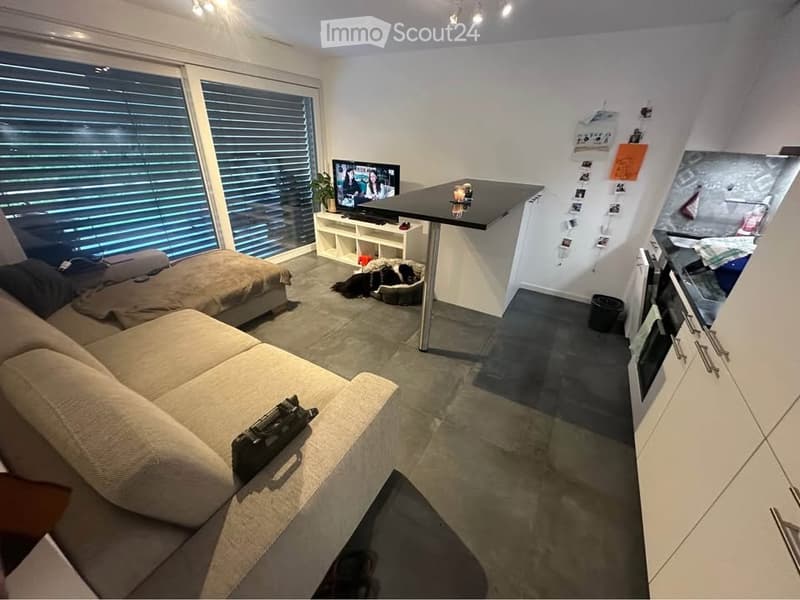 Magnifique 2.5 récent, rez-de-jardin avec grande terrasse (1)