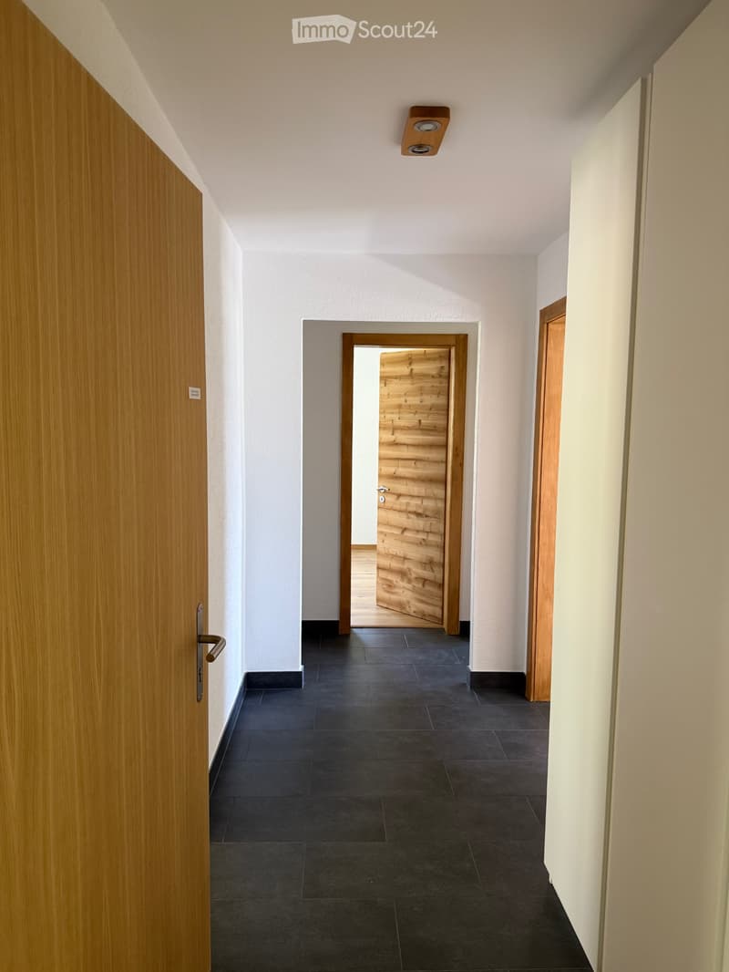 Charmantes 3.5 Zimmer-Wohnung, renoviert, sofort verfügbar (4)