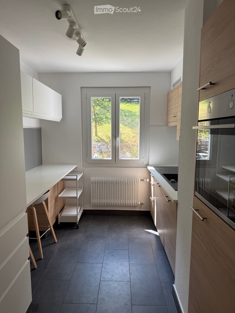 Charmantes 3.5 Zimmer-Wohnung, renoviert, sofort verfügbar (5)