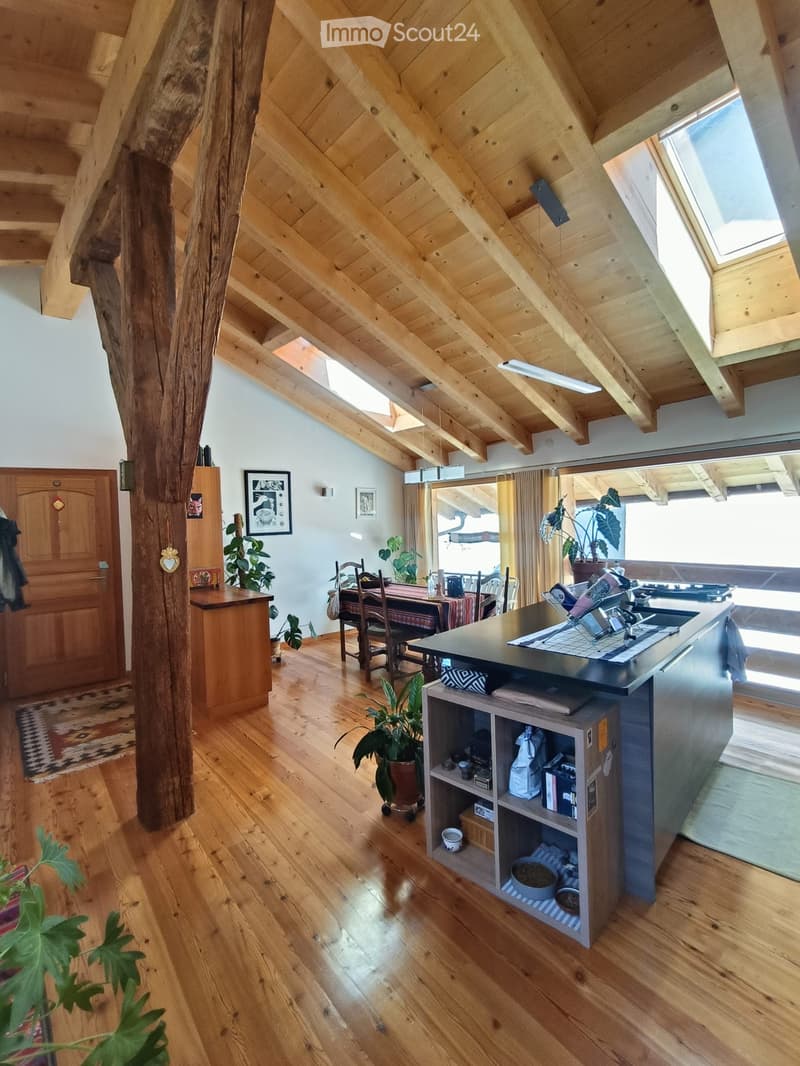 Bello appartamento di 2 pezzi, vecchia fattoria ristrutturata (1)