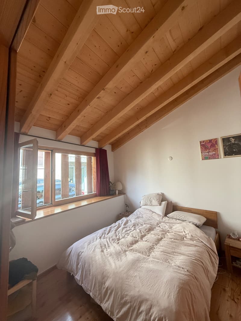 Bello appartamento di 2 pezzi, vecchia fattoria ristrutturata (4)