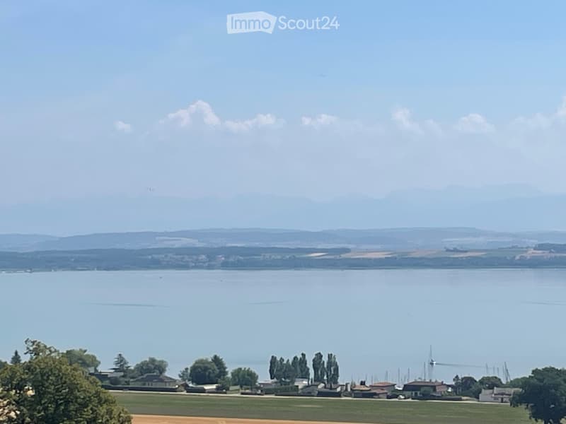 Villa idilliaca con vista spettacolare sul lago di Neuchâtel (1)