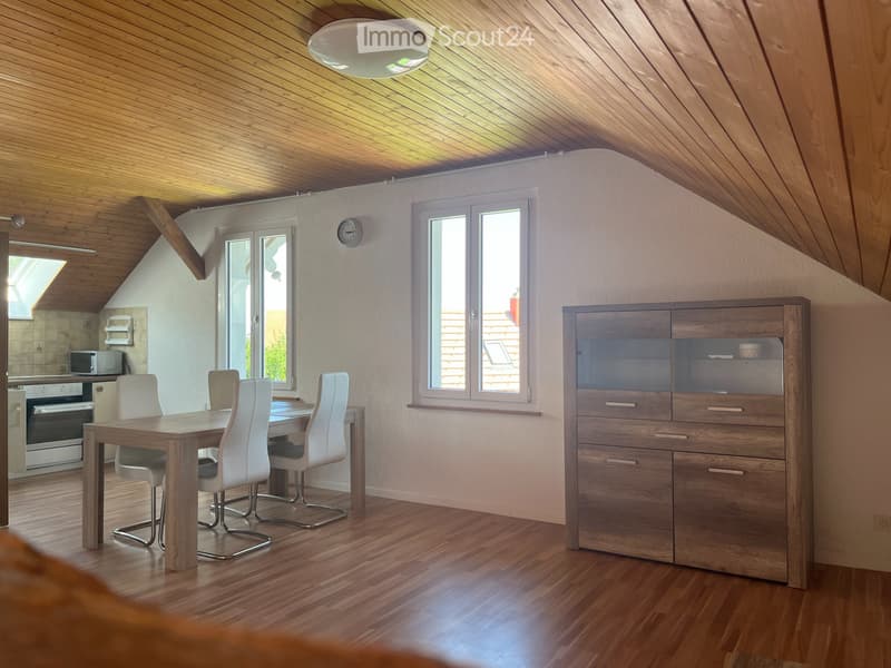 Appartamento accogliente di 2,5 locali a Oberdorf SO (3)