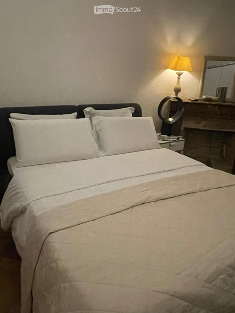 Camera privata 1 min a tram Genève centrale (1)