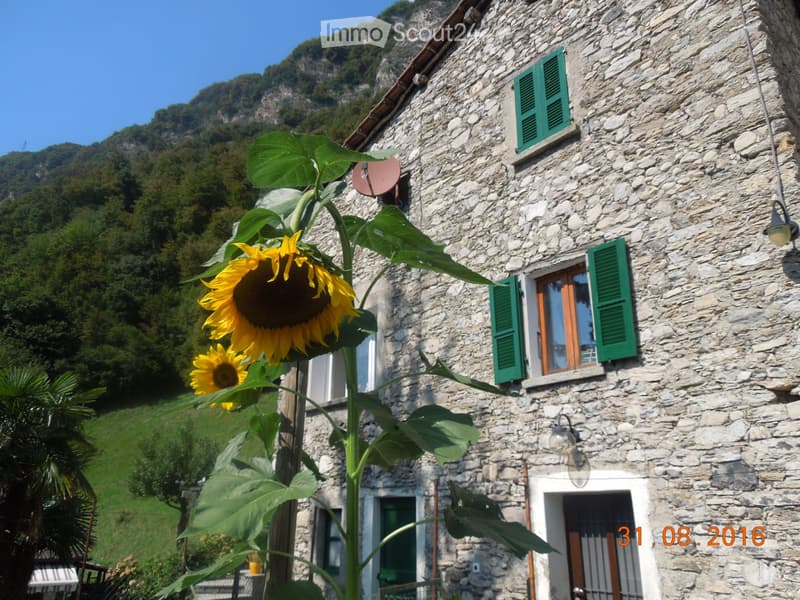 Sale of family house (3)