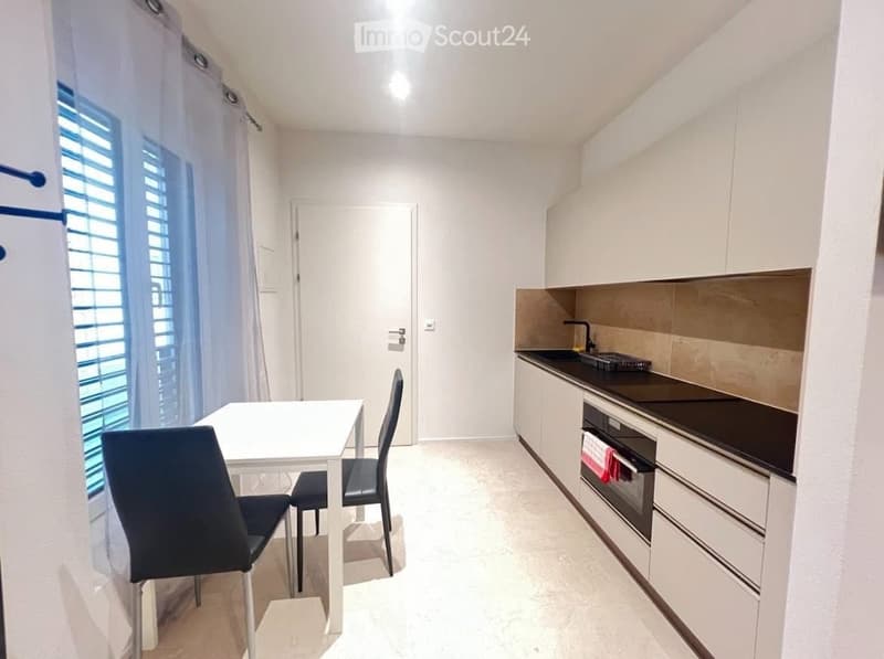 Furnished studio 40m2, Pâquis / Gare Cornavin 1201 Geneva (2)