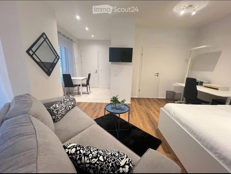 Furnished studio 40m2, Pâquis / Gare Cornavin 1201 Geneva (3)