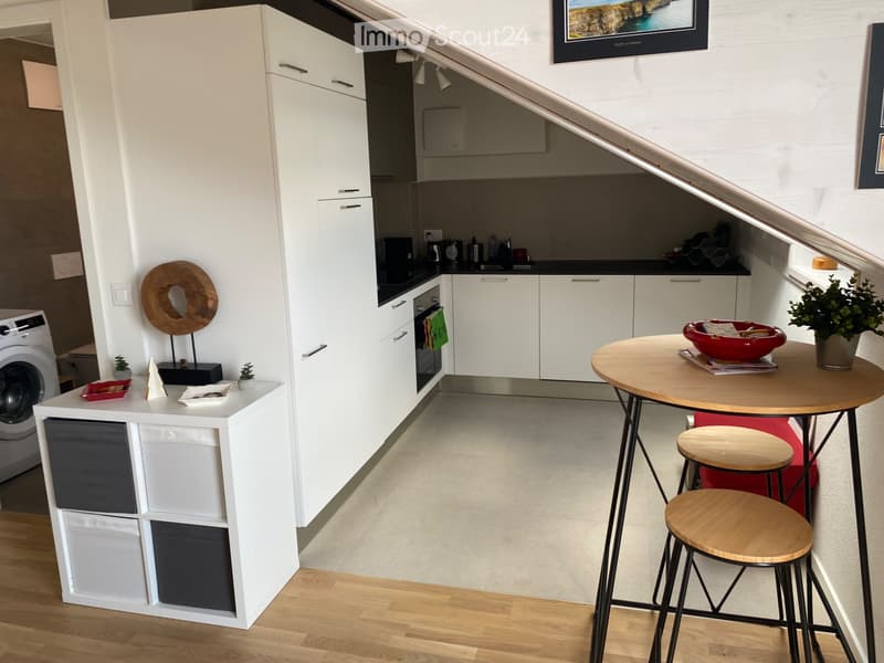 Magnificent furnished apartment on the top floor (3)