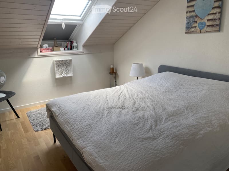 Magnificent furnished apartment on the top floor (2)