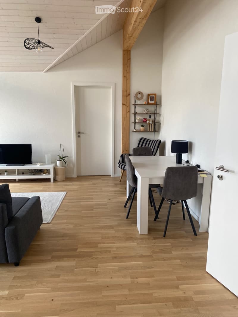 Magnificent furnished apartment on the top floor (1)