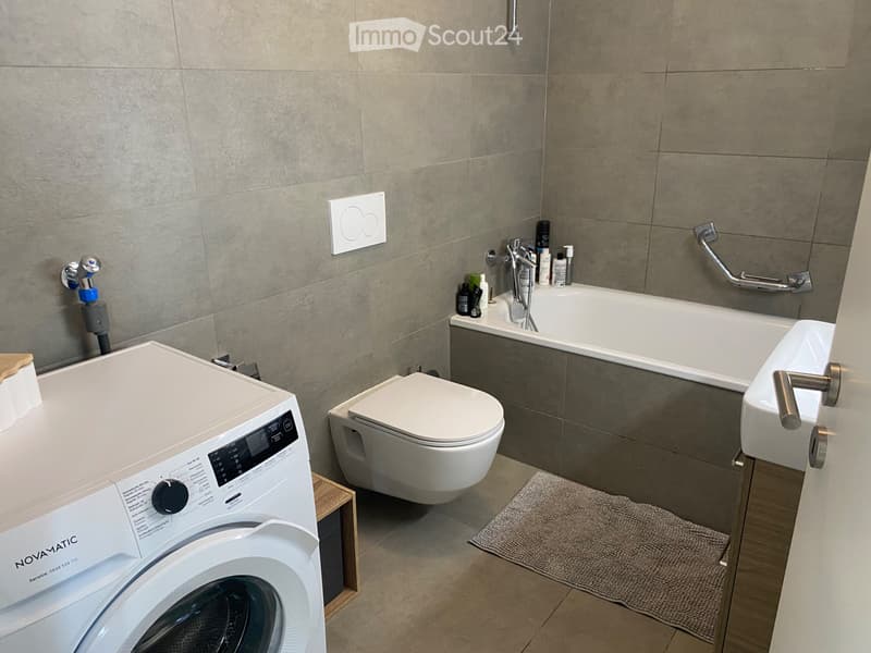 Magnificent furnished apartment on the top floor (5)