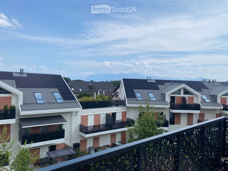 Magnificent furnished apartment on the top floor (4)