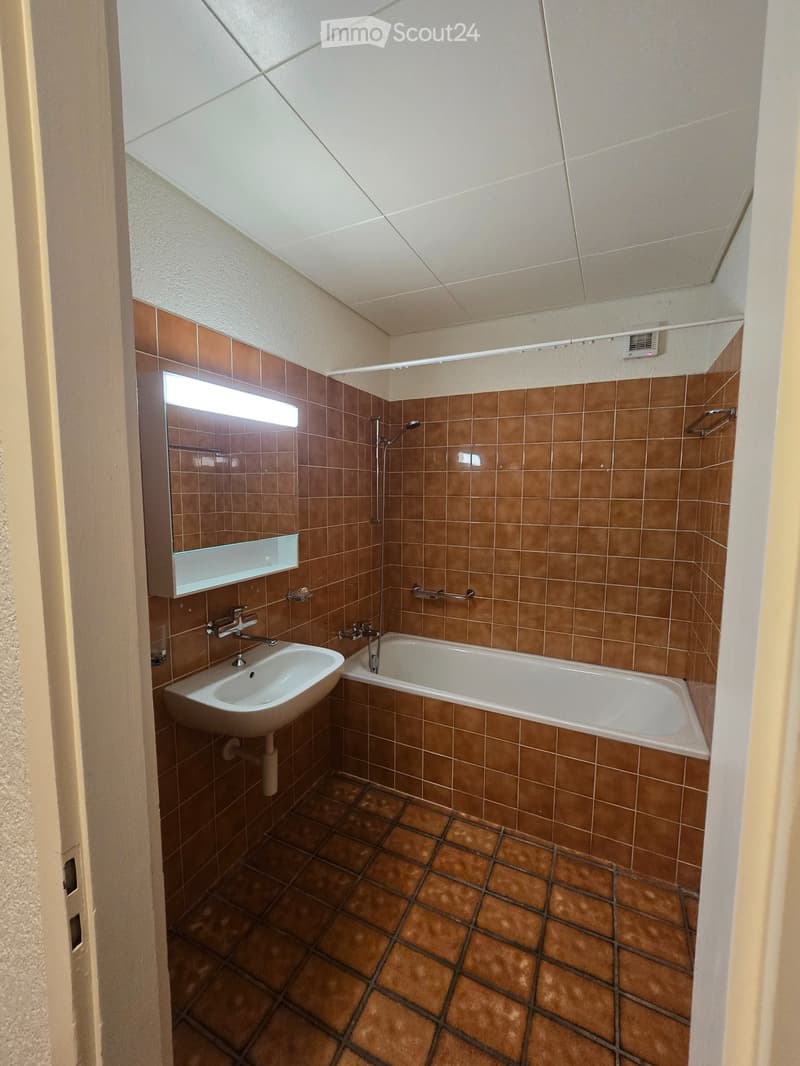 Zu vermieten Charmant 3, 5 Zimmer La Chaux-de-Fonds (3)