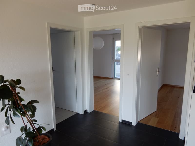 Apartment with a southern view (4)