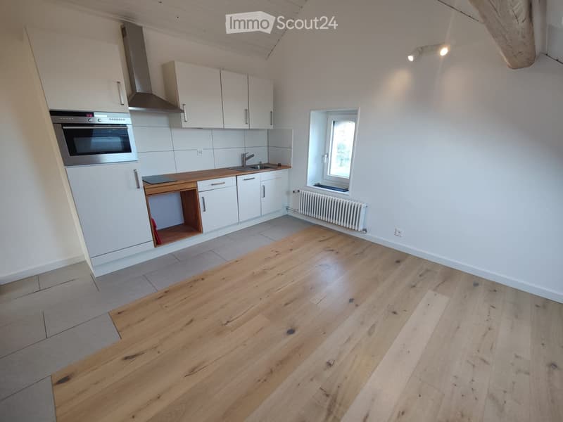 2.5 Rooms, 45 m², 2nd Floor (3)