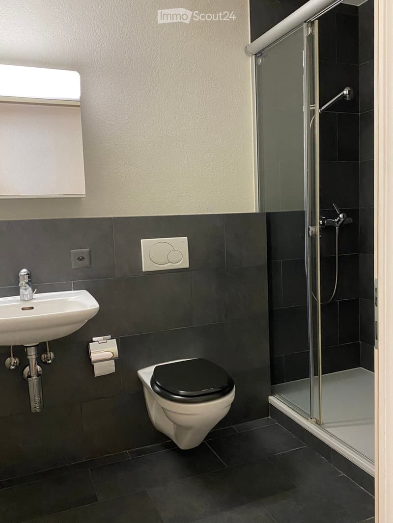 Large charming apartment (4)