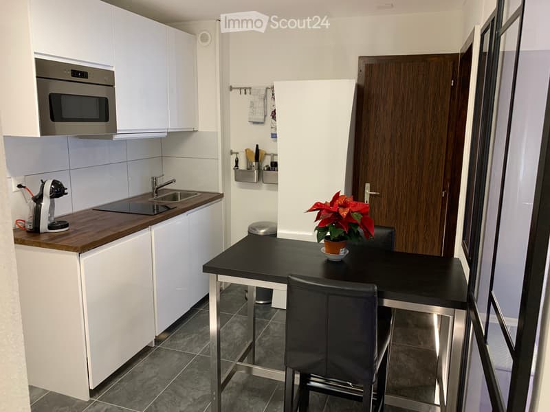 Apartment for rent (1)