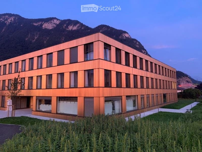 2,5 locali e monolocali - arredati, nuovi a Rennaz (VD) (1)