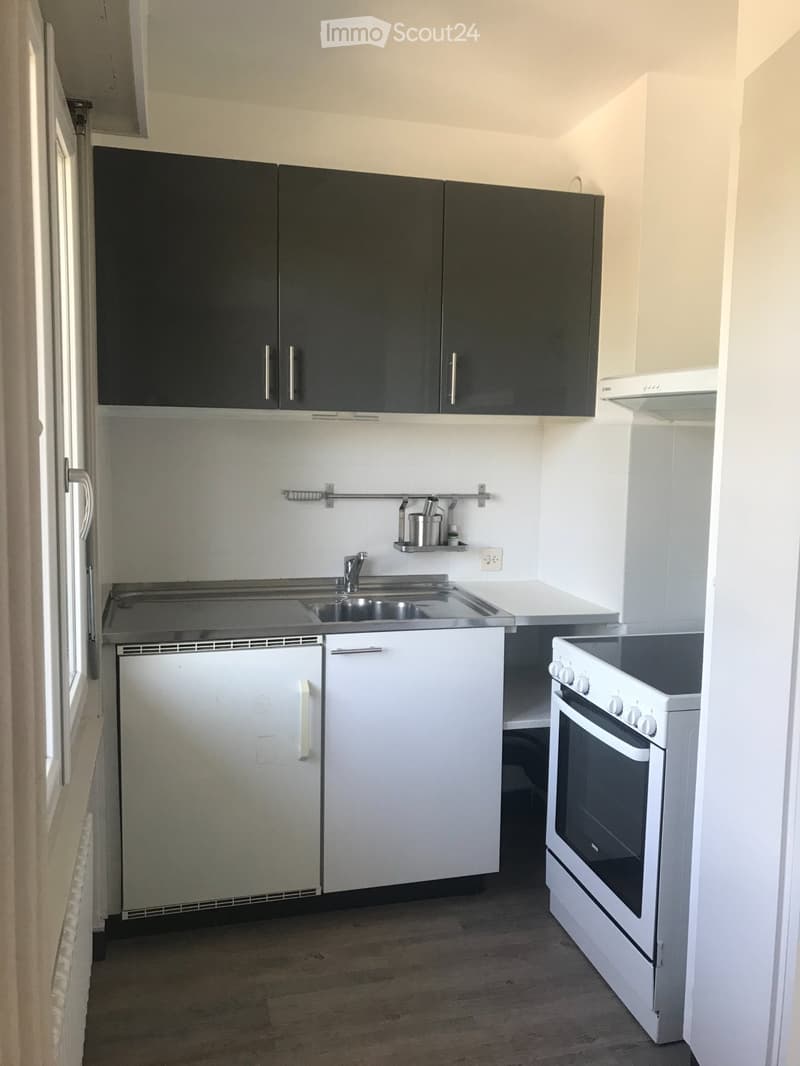 Meinier - 3-room apartment for rent (3)