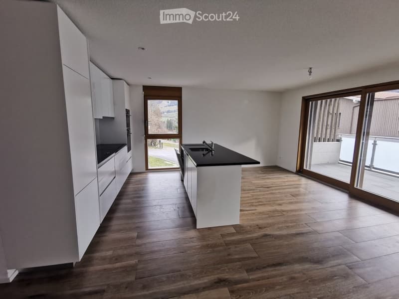 Apartment 4.5 rooms - Enney (1)