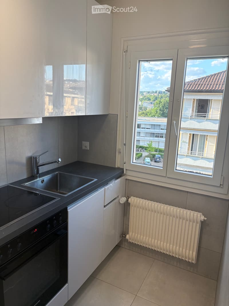 Magnificent apartment with lake view (5)