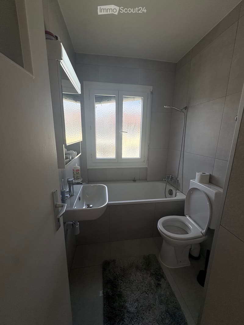 Magnificent apartment with lake view (4)