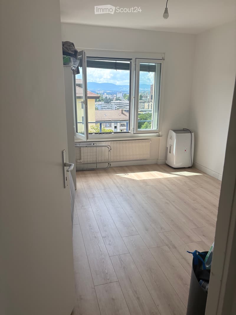 Magnificent apartment with lake view (3)