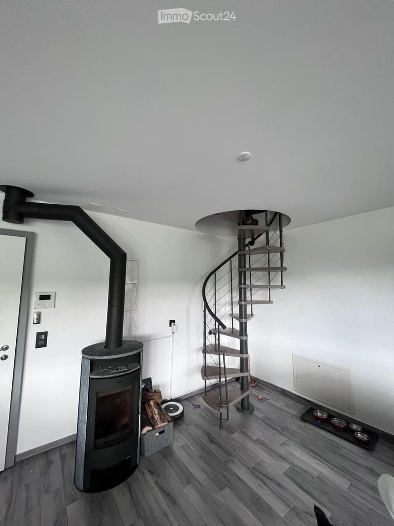 Duplex zur Miete (1)