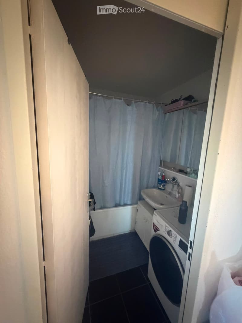 Appartamento 3,5 locali (2)