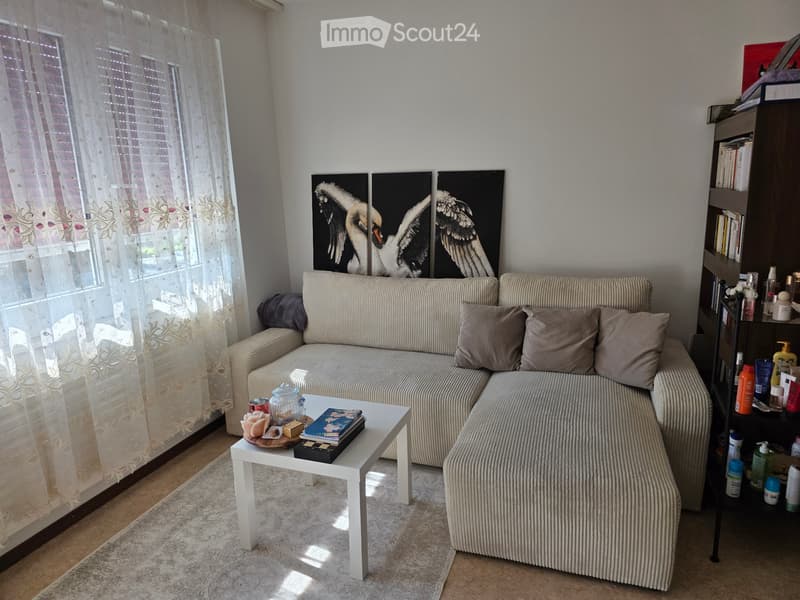 Appartement zur Miete (5)