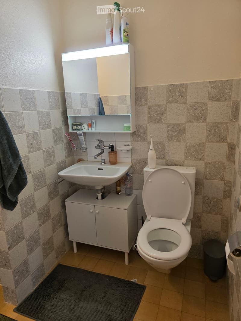 Appartement zur Miete (1)