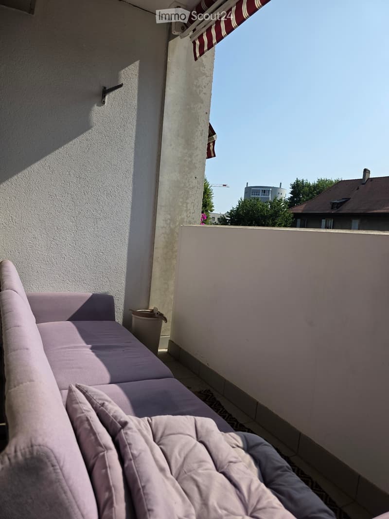 Appartement zur Miete (2)