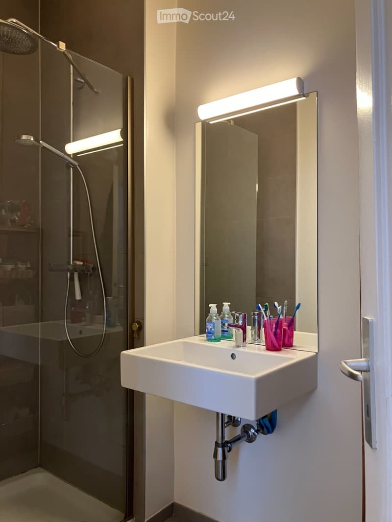 Nice 2-room apartment for rent in Acacias/Carouge (5)