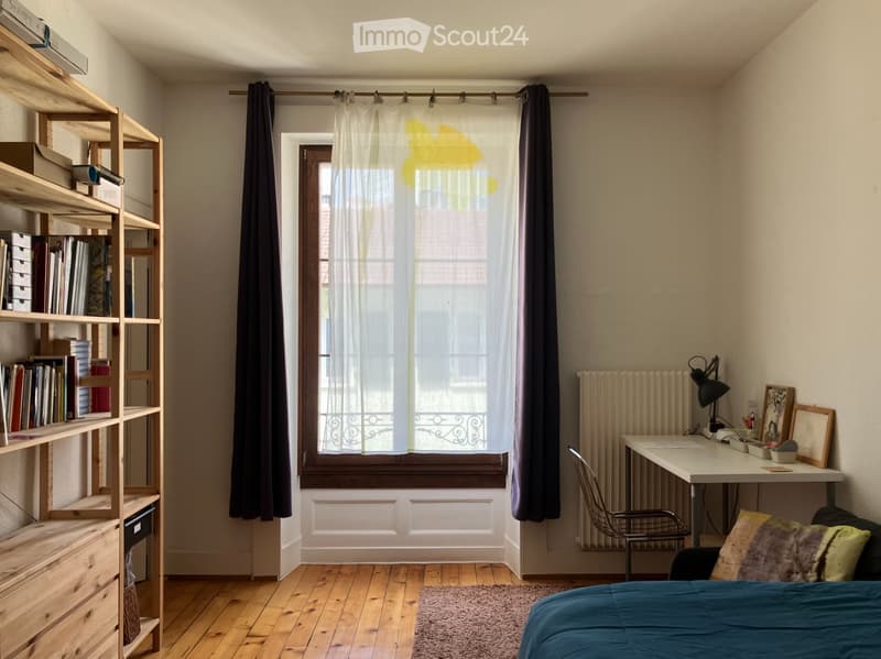 Nice 2-room apartment for rent in Acacias/Carouge (3)
