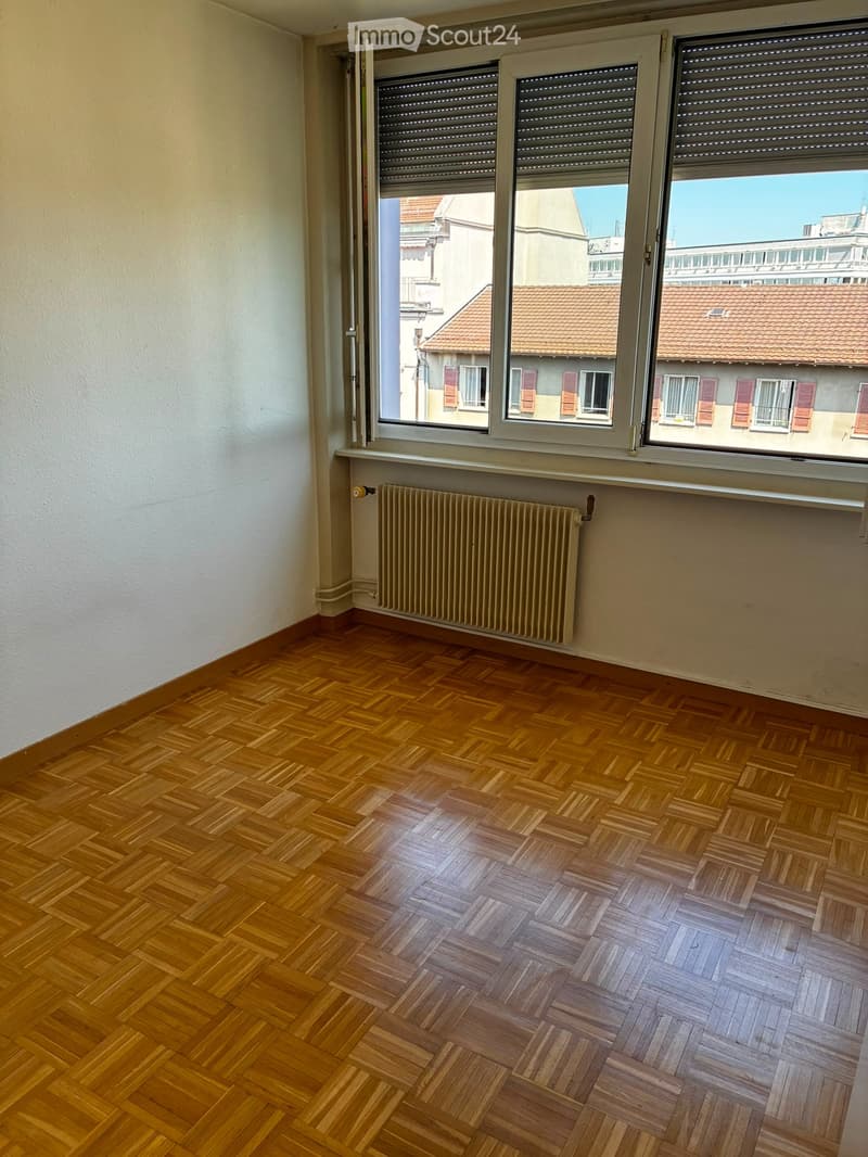 Charming 2-room apartment in Carouge (1)