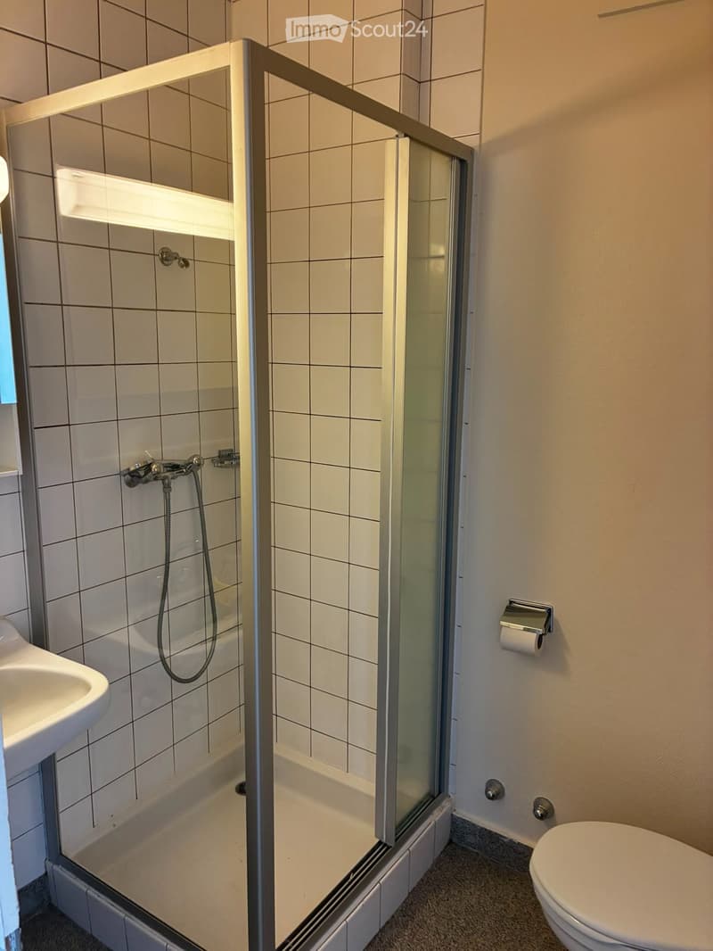 Charming 2-room apartment in Carouge (3)