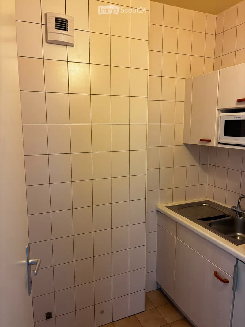 Charming 2-room apartment in Carouge (2)