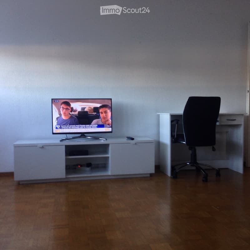 Appartement 2 pièces meublé 40m2 (2)