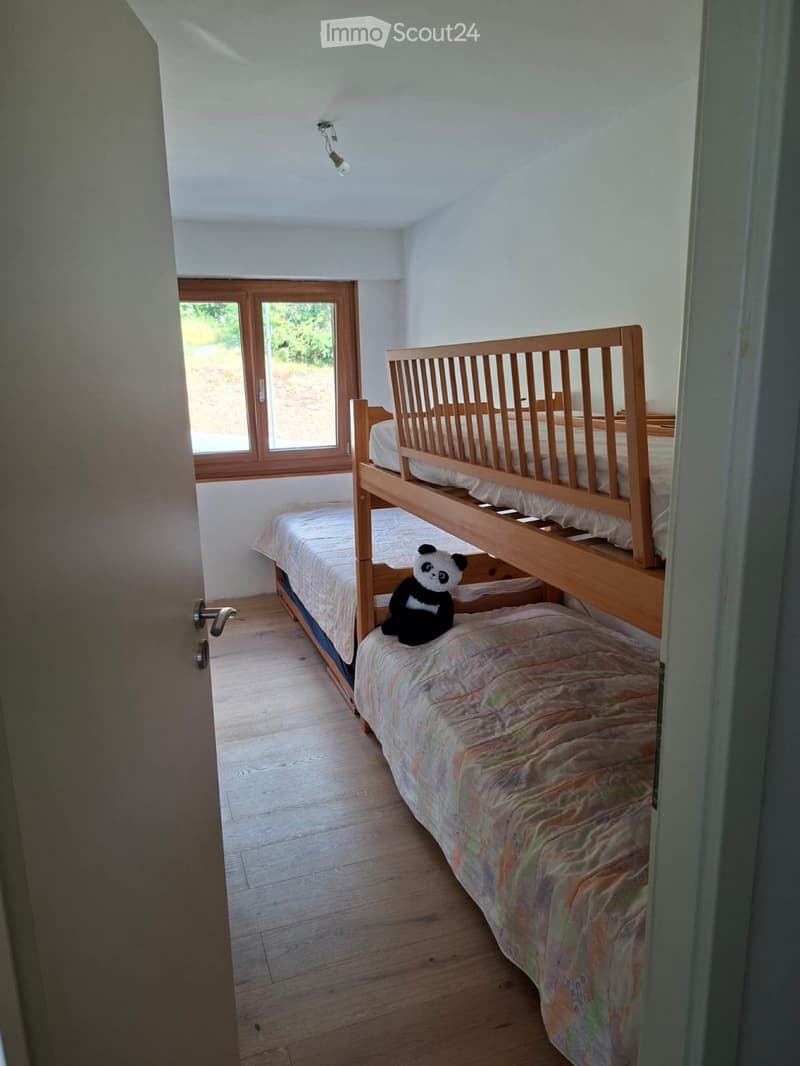 Appartement rénové (4)