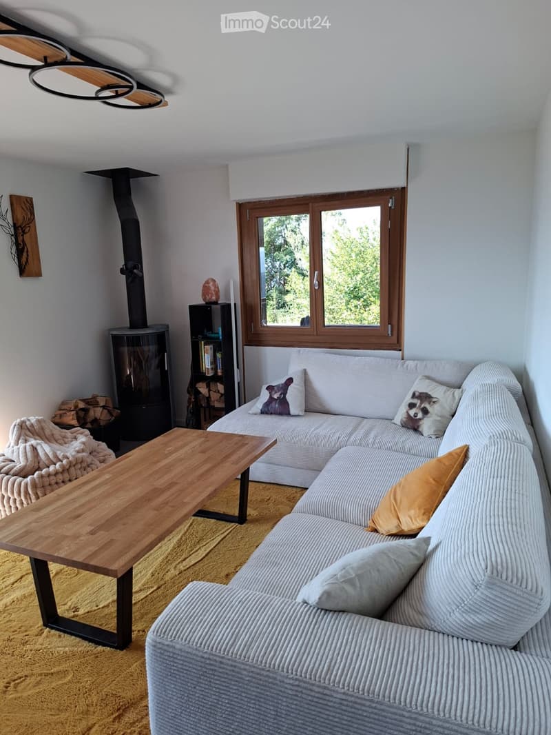 Appartement rénové (2)