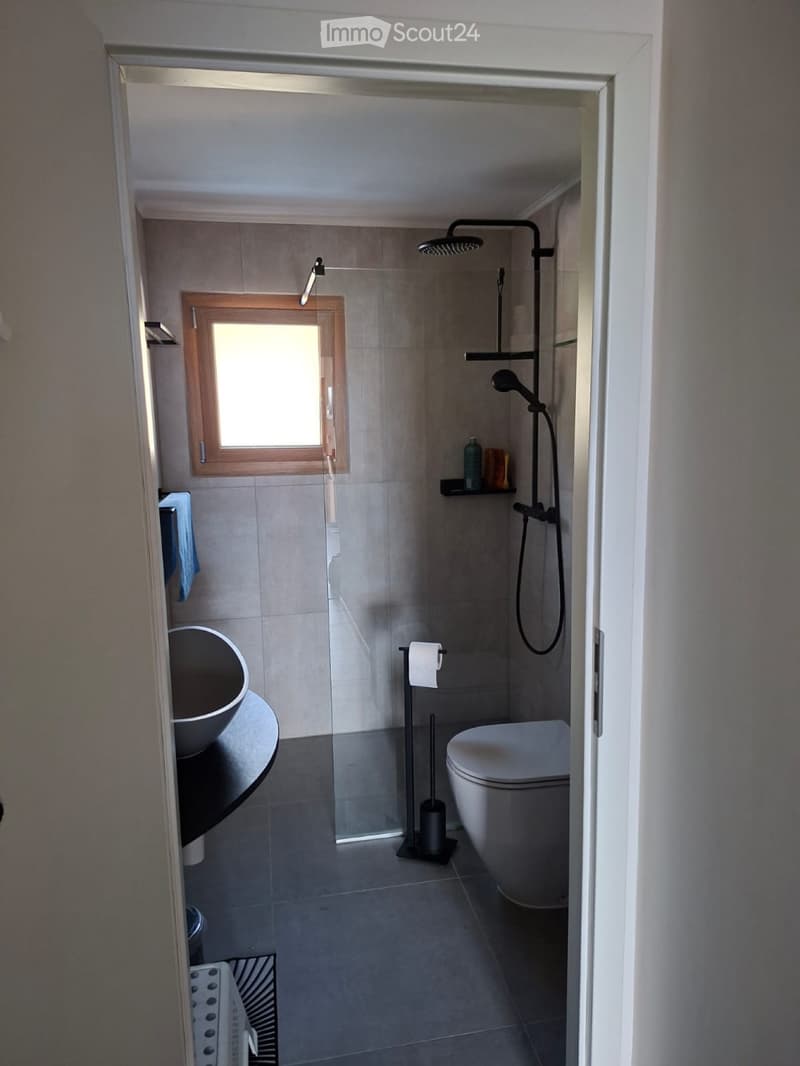 Appartement rénové (5)